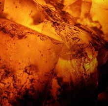 Load image into Gallery viewer, Amber Noir