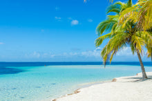 Load image into Gallery viewer, Ocean Breeze