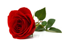 Load image into Gallery viewer, Rose Petals