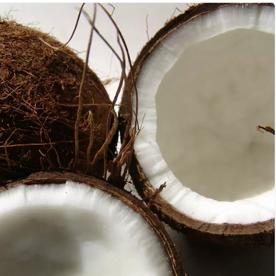 Coconut