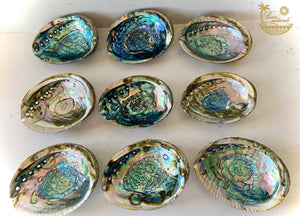 Abalone Shells - Large