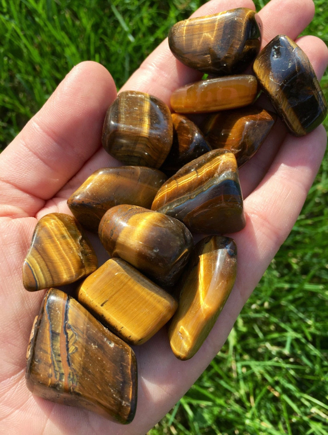 Tigers Eye