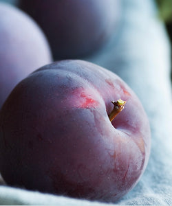 Cashmere Plum