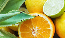 Load image into Gallery viewer, Citrus Agave
