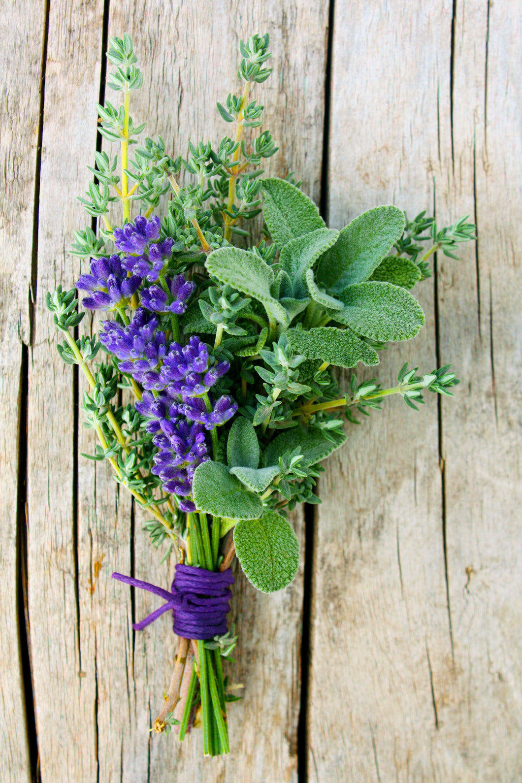 White Sage & Lavender